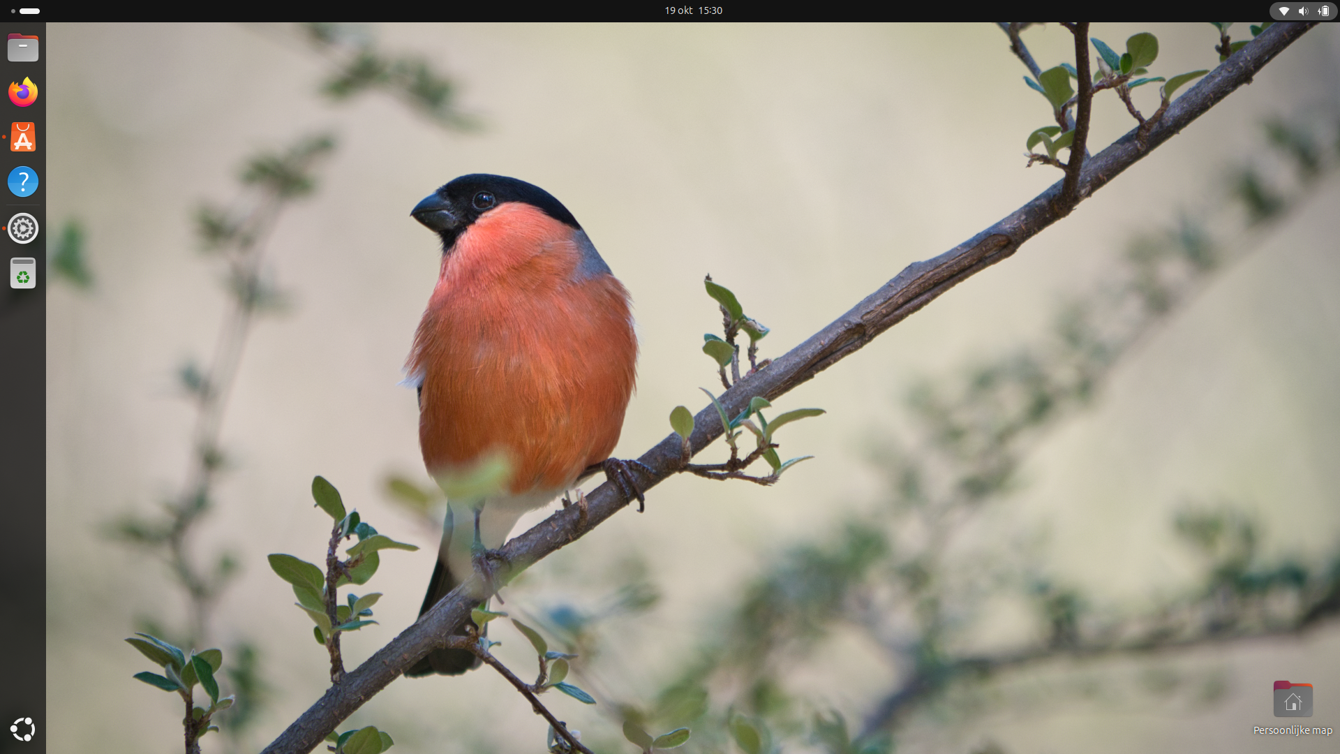 Ubuntu 24.10 installeren – Oracular Oriole